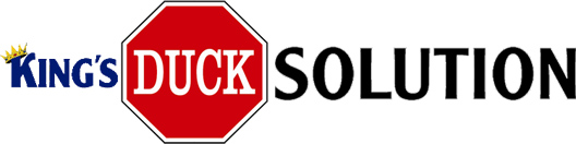 King's Duck Solution Site